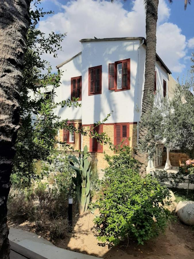 Palm Garden Guest House Nicosia Kültér fotó