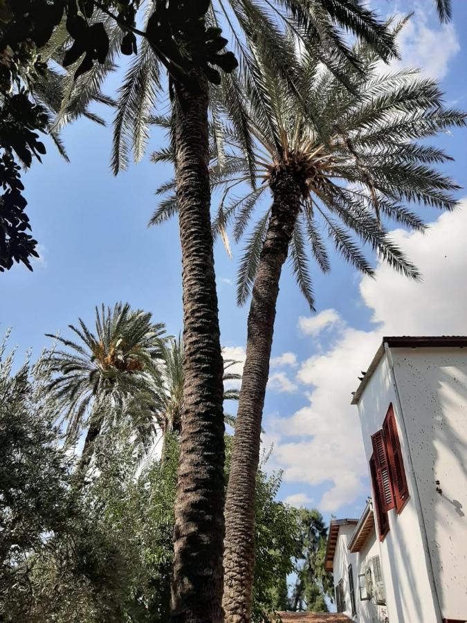 Palm Garden Guest House Nicosia Kültér fotó