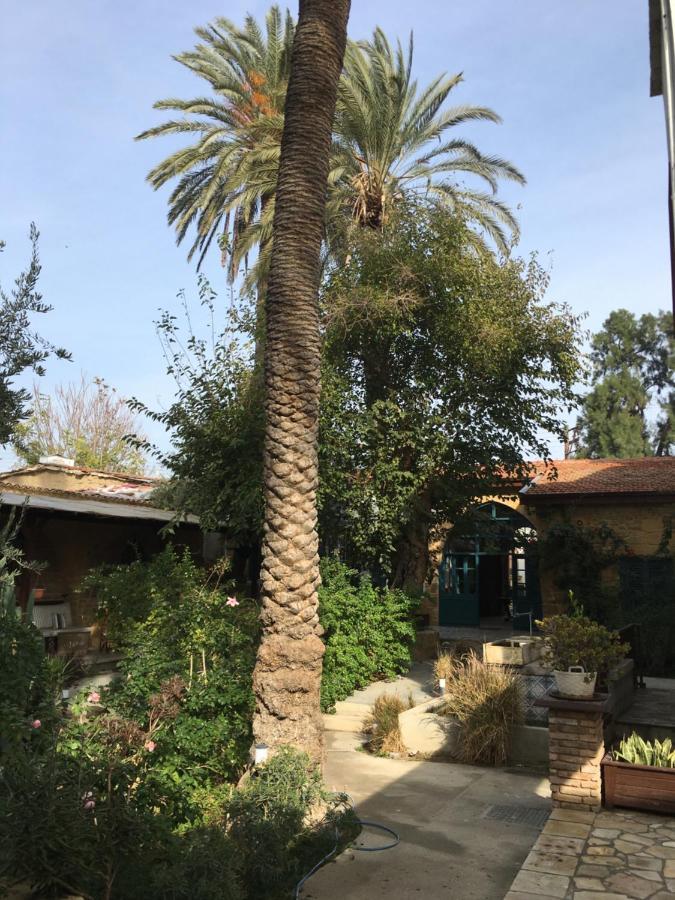 Palm Garden Guest House Nicosia Kültér fotó
